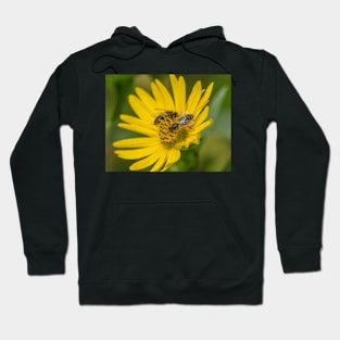 Two's company Hoodie